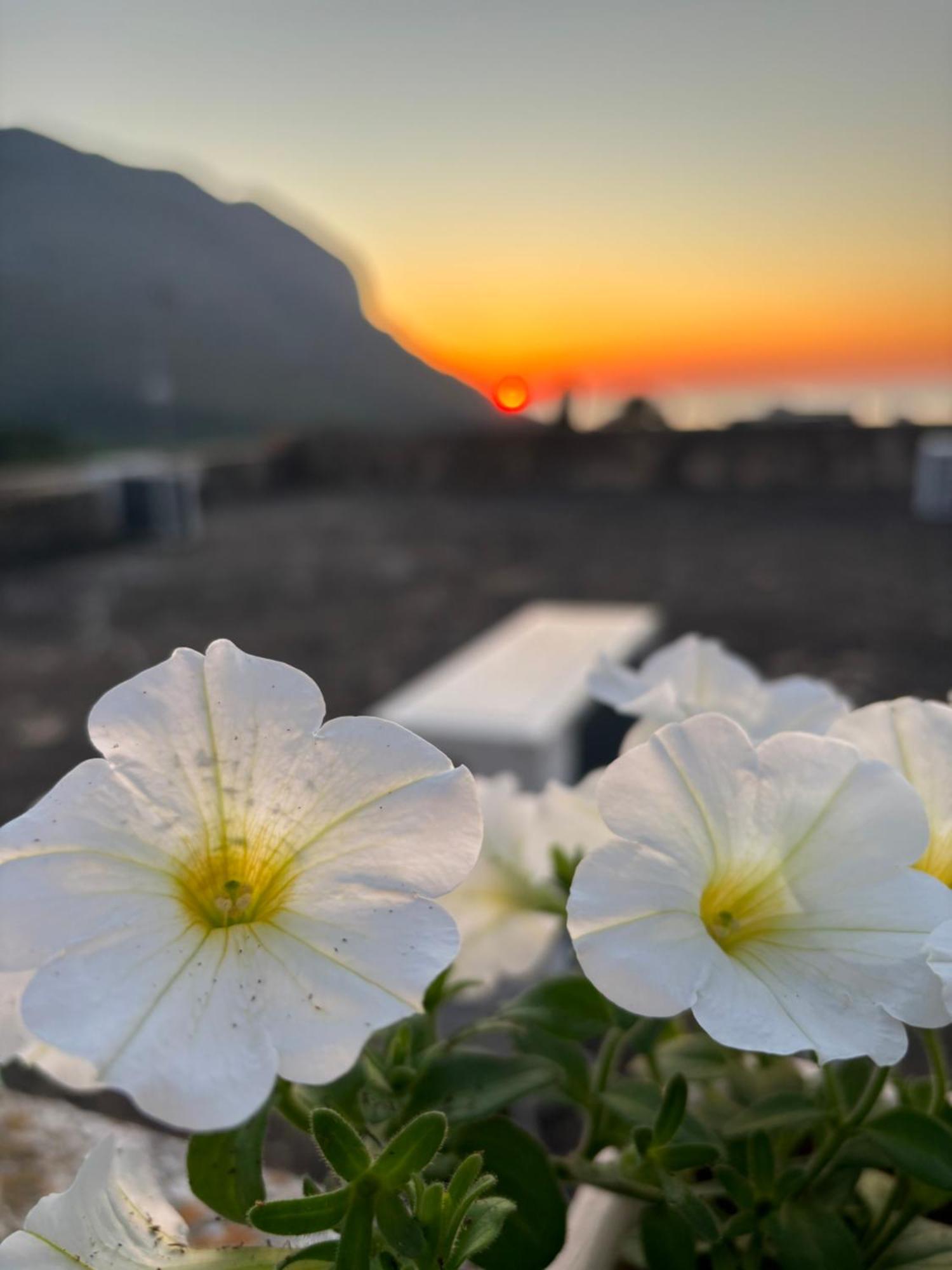 Bed And Breakfast Turi Кастеллуццо Экстерьер фото