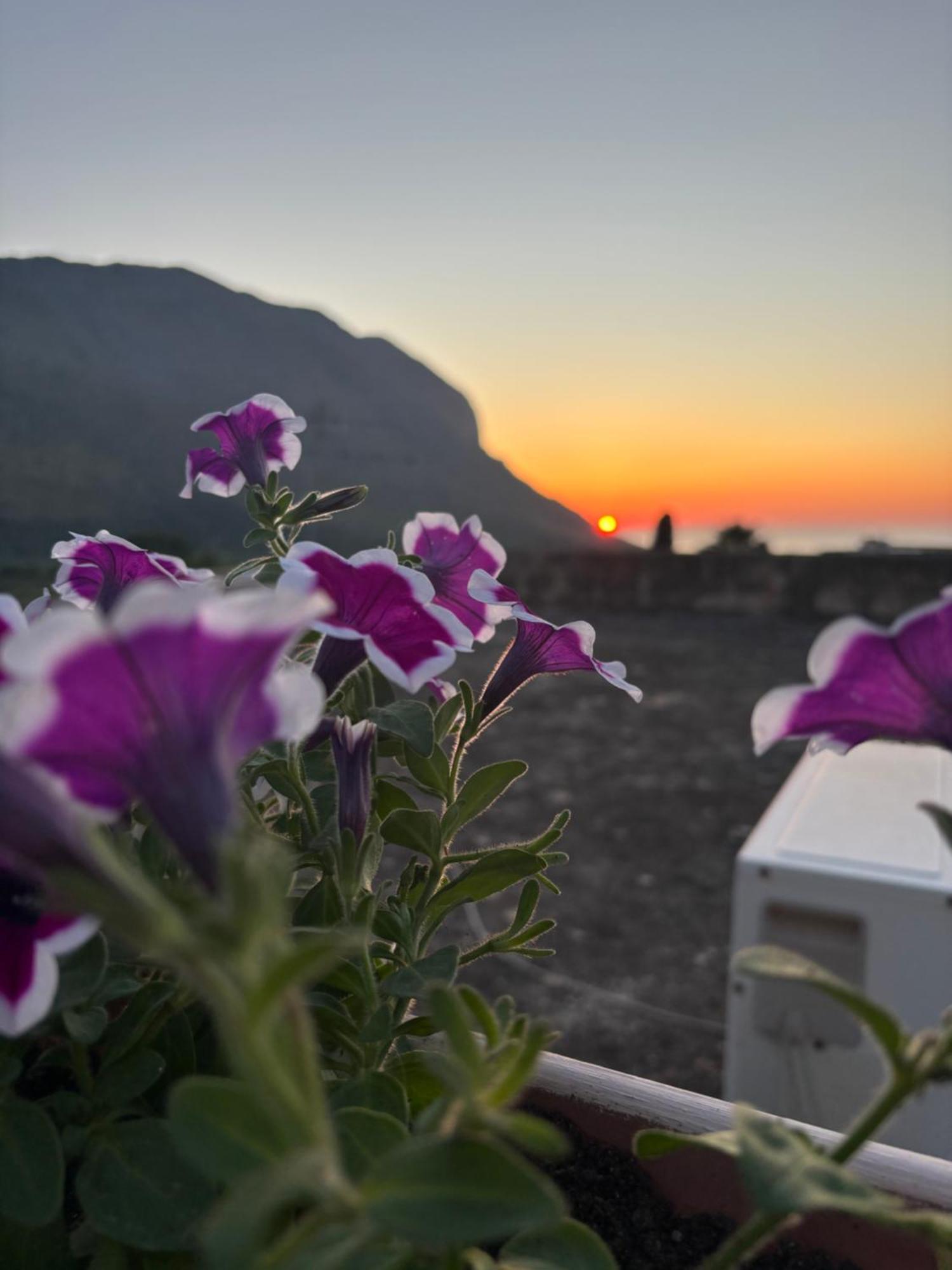 Bed And Breakfast Turi Кастеллуццо Экстерьер фото